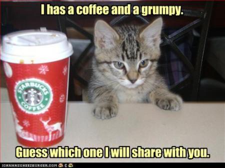 cats and coffee