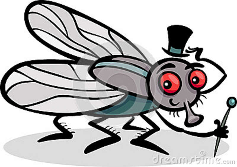 cartoon fly clipart - photo #44